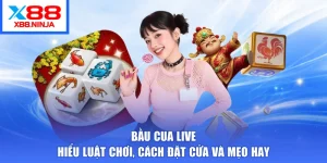Bầu Cua Live – Hiểu Luật Chơi, Cách Đặt Cửa Và Mẹo Hay