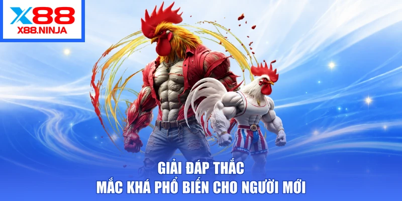 Giải đáp thắc mắc khá phổ biến cho người mới