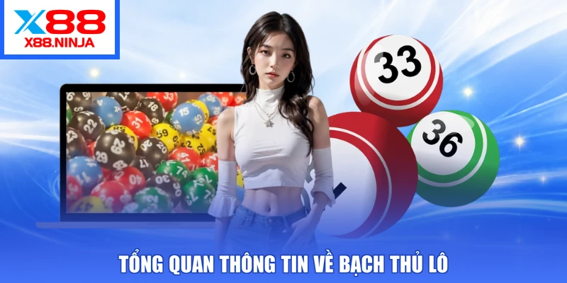 Tổng quan thông tin về bạch thủ lô